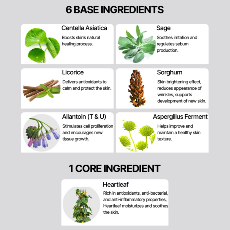 AXIS-Y_-_Heartleaf_My_Type_Calming_Cream_60ml_info6-_Seoulful_Skincare