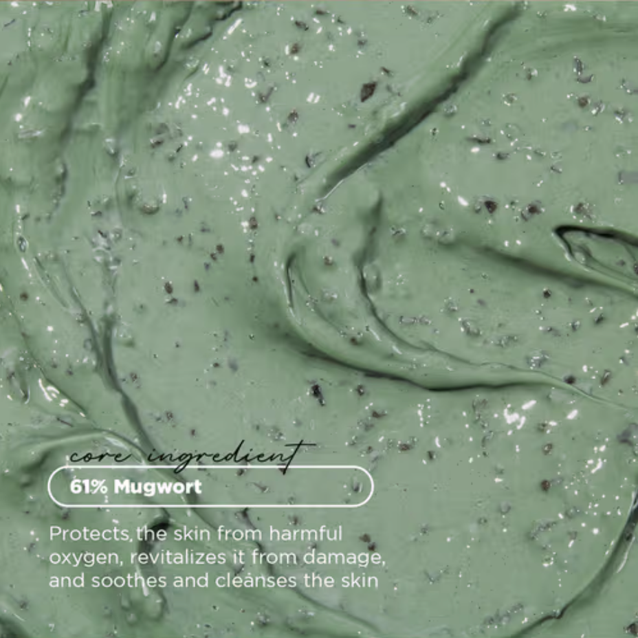 AXIS-Y - Mugwort Pore Clarifying Wash Off Pack (100ml) Info 6 - Seoulful Skincare