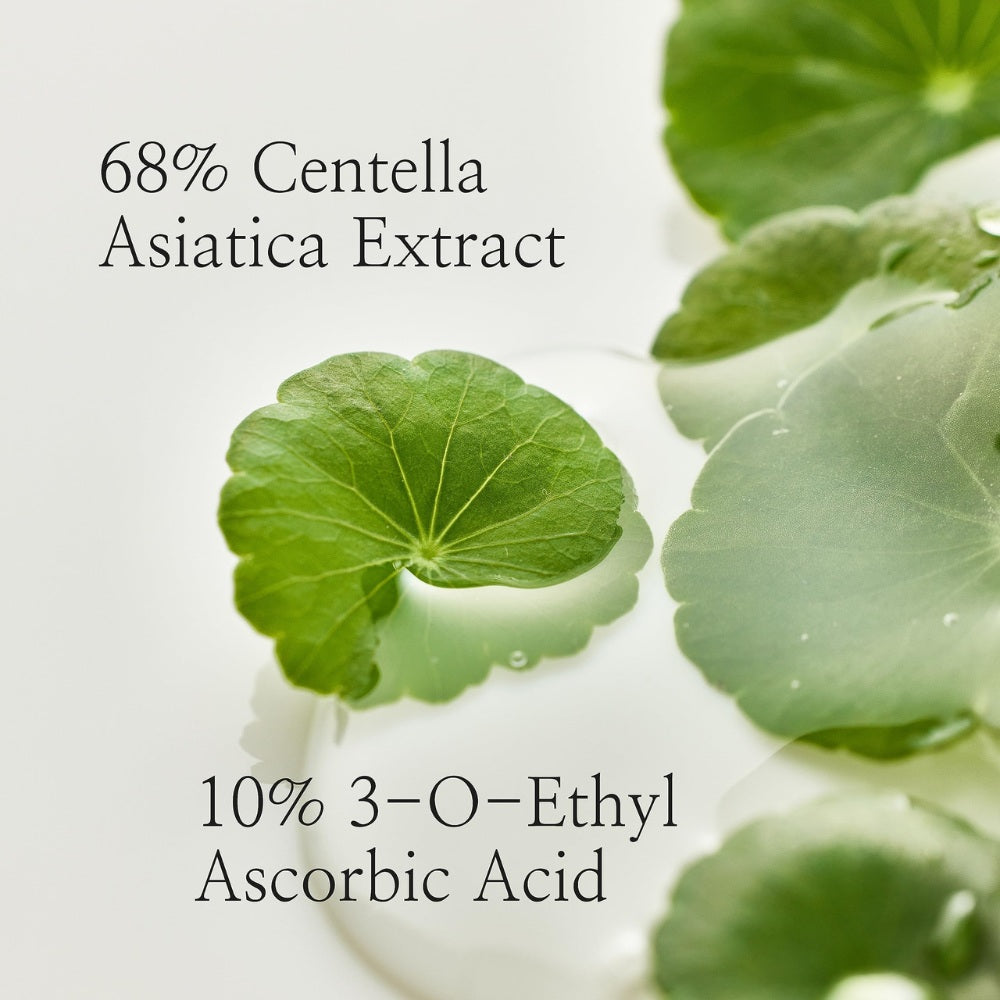 Beauty_Of_Joseon_-_Light_On_Serum_Centella_Vita_C_30ml_Key_Ingredients_-_Seoulful_Skincare