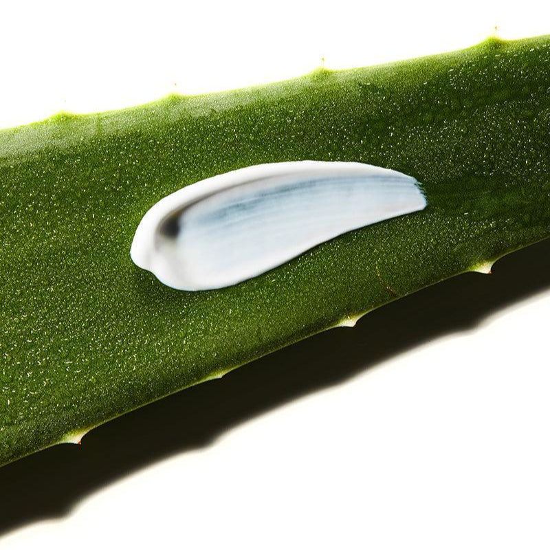 Cosrx - Aloe Soothing Sun Cream SPF50+/ PA+++ (50ml) - v3 - Seoulful Skincare