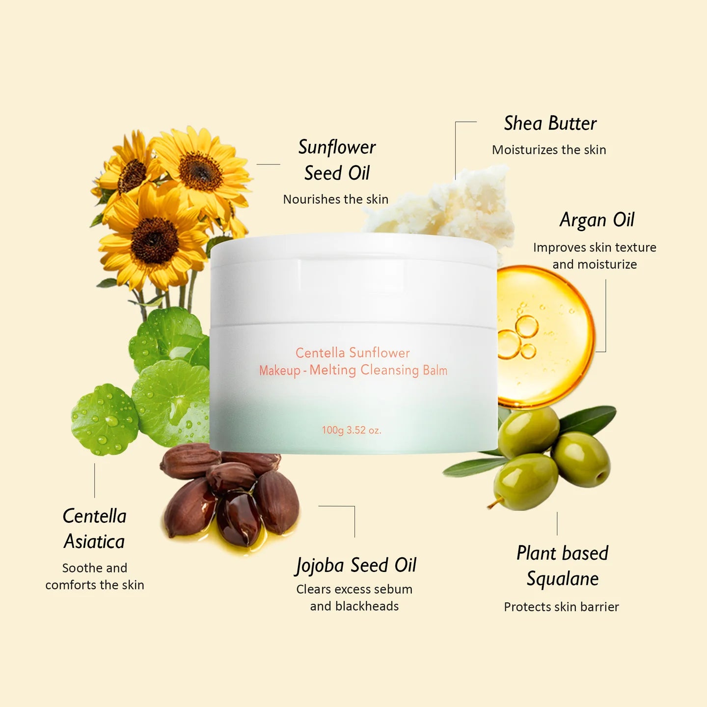 Haruharu_Wonder_-_Centella_Sunflower_Makeup-Melting_Cleansing_Malm_100g_info1-_Seoulful_Skincare