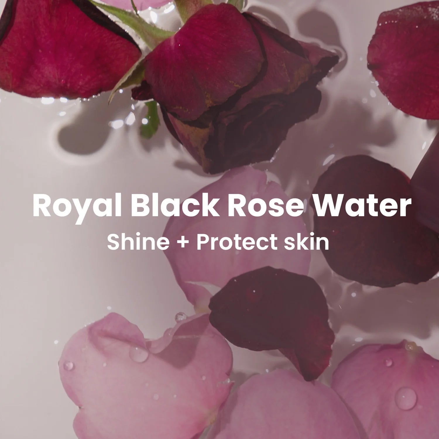 Heimish - Black Rose Hydra Plumping Sorbet Cream (50ml) Info4- Seoulful Skincare