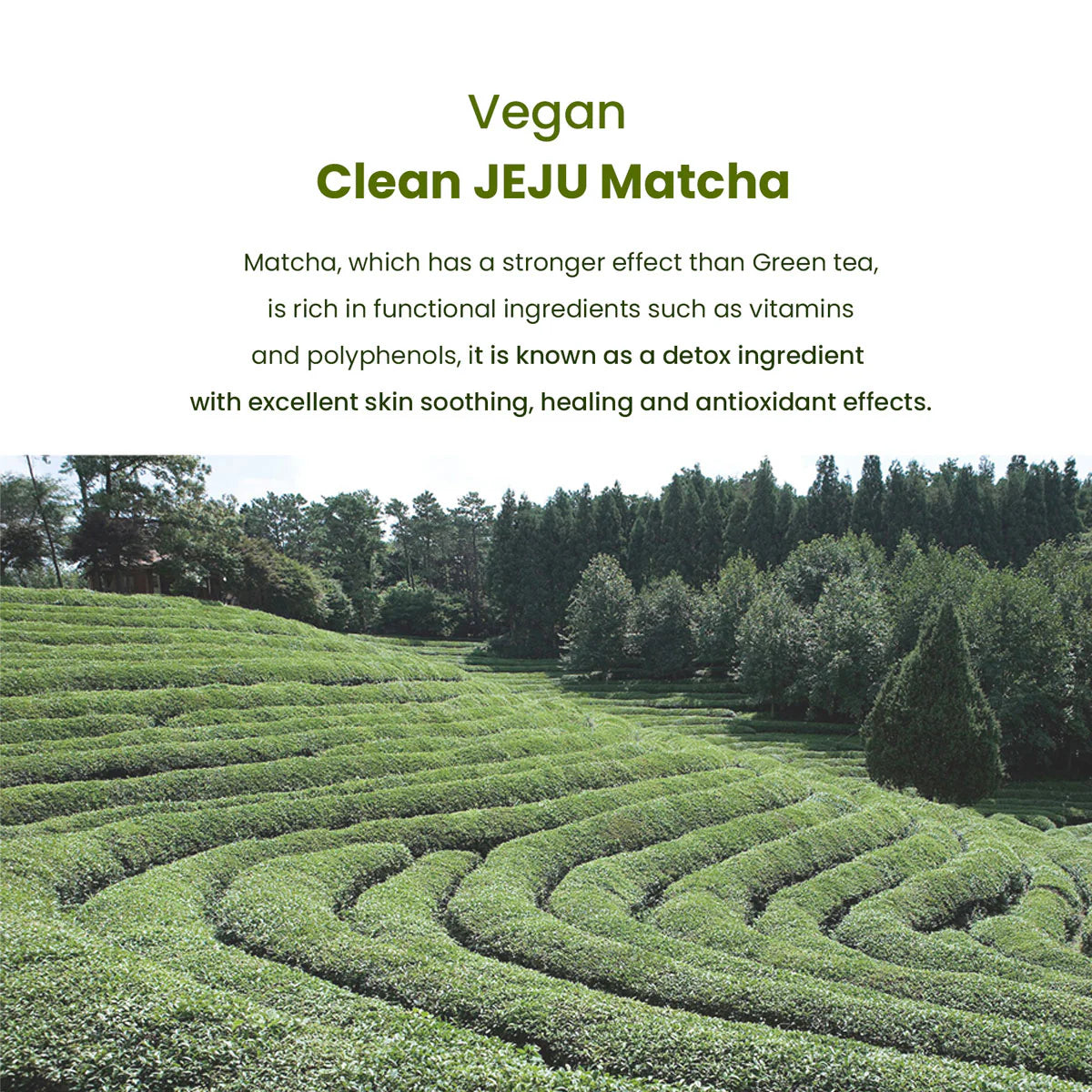 Hemish - Matcha Biome Hydrogel Eye Patch (1.4g) - v4 - Seoulful Skincare