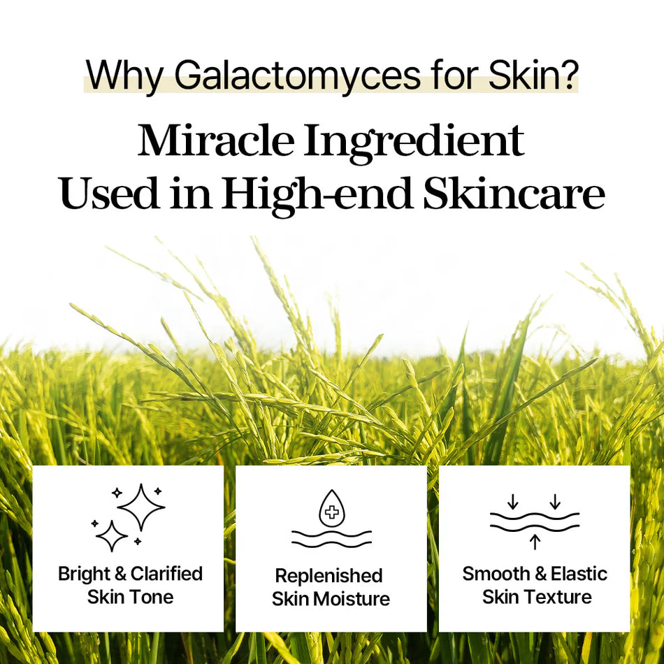 Mixsoon_-_Galactomyces_Toner_Pad_70ea_4-_Seoulful_Skincare