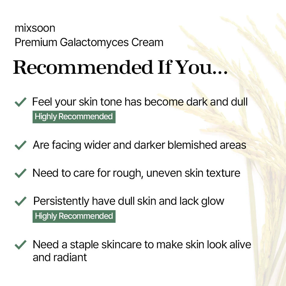 Mixsoon_-_Premium_Galactomyces_Cream_50ml_Info4-_Seoulful_Skincare