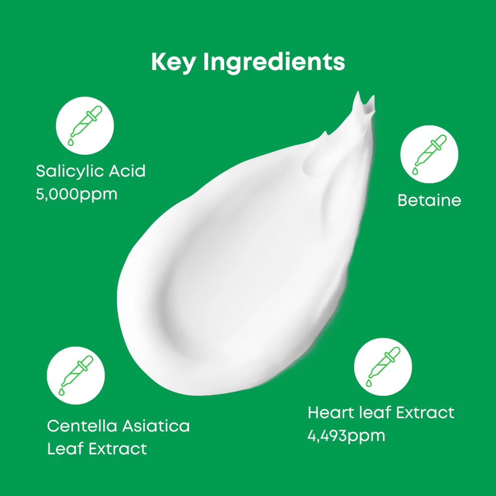 NINE LESS - A-Control Heartleaf & BHA Foam Cleanser (120ml) - v2 - Seoulful Skincare
