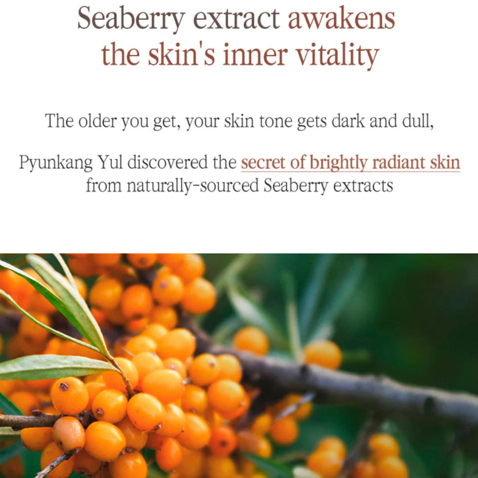 Pyunkang_Yul_-_Black_Tea_Boosting_Serum2_45ml_info6-_Seoulful_Skincare