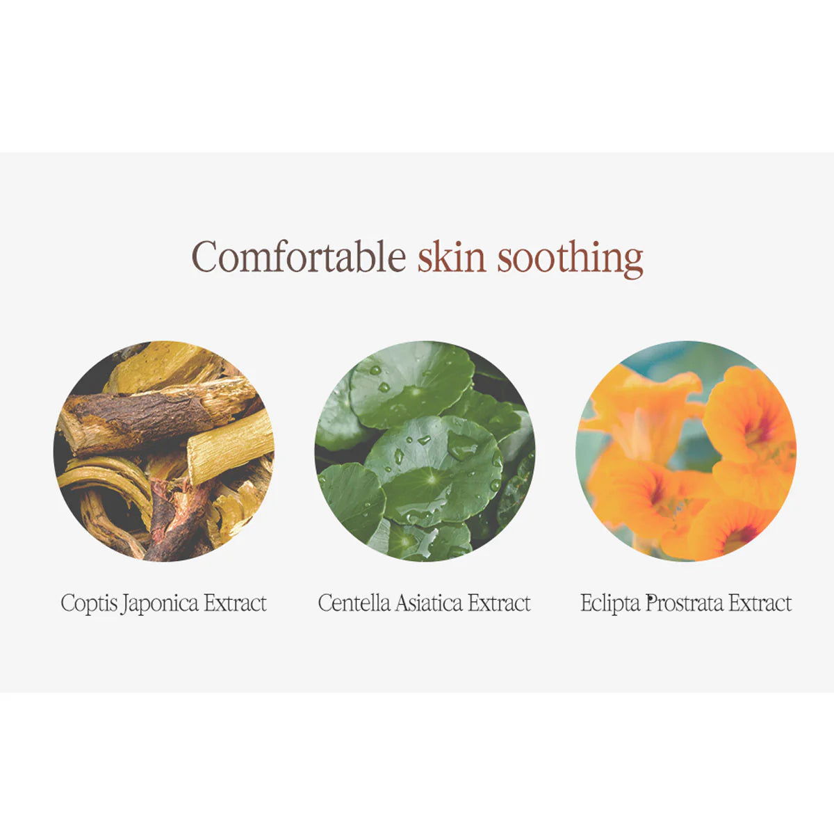 Pyunkang_Yul_-_Black_Tea_Boosting_Serum2_45ml_info9-_Seoulful_Skincare