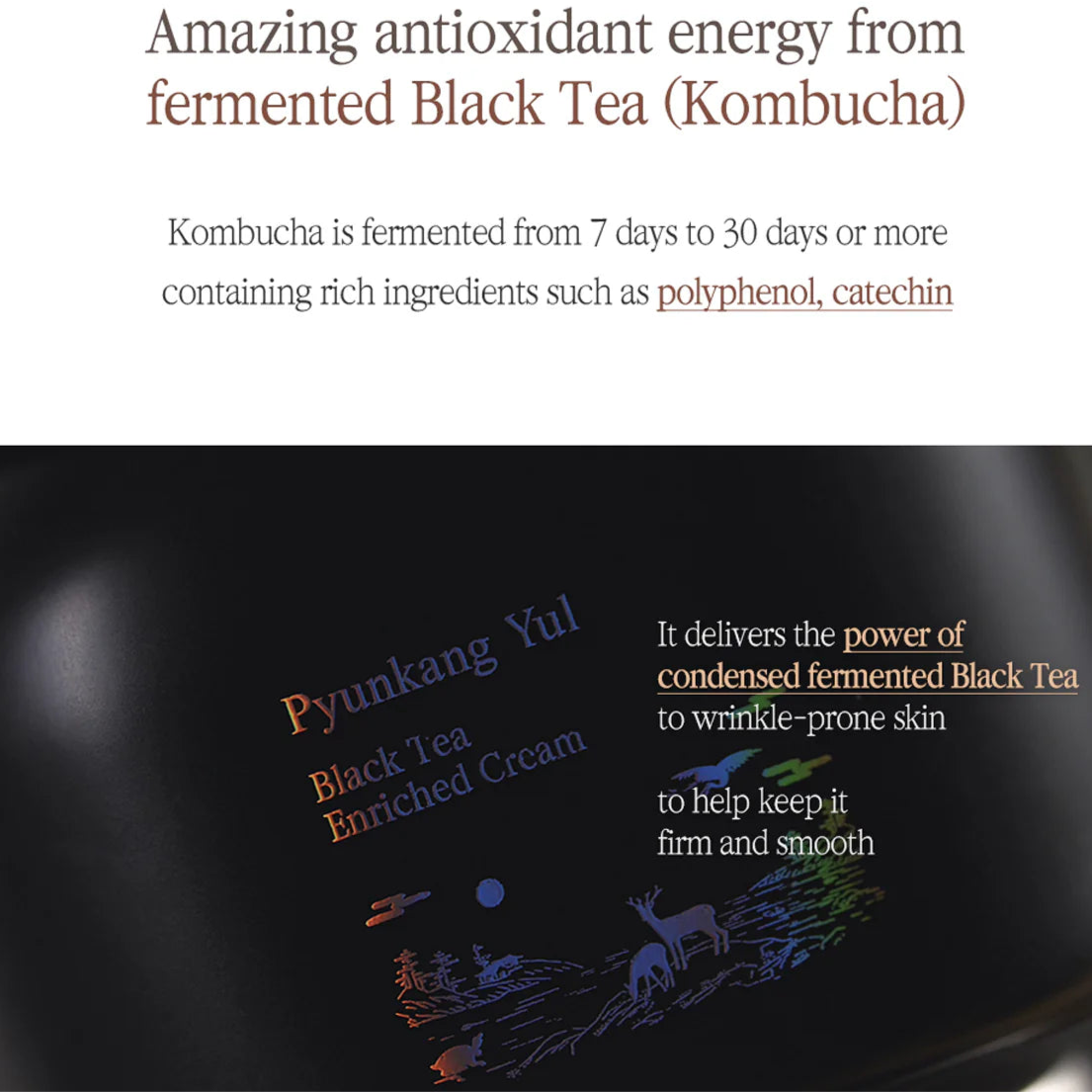 Pyunkang_Yul_-_Black_Tea_Enriched_Cream_60ml_info7-_Seoulful_Skincare