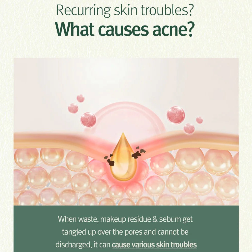 Pyunkang Yul - Calming Acne Cleansing Foam (100ml) Info5 - Seoulful Skincare