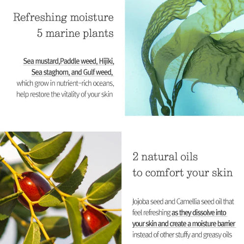 Pyunkang Yul - Deep Blue Oil Mist (100ml) Info 3 - Seoulful Skincare