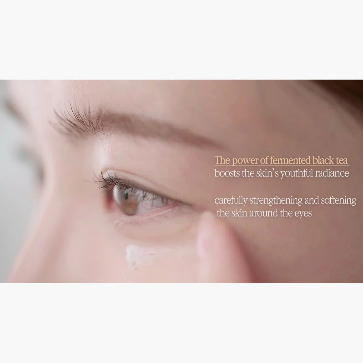 Pyunkang_yul_-_Renewed_Black_Tea_Time_Reverse_Eye_Cream_25ml_info4-_Seoulful_Skincare