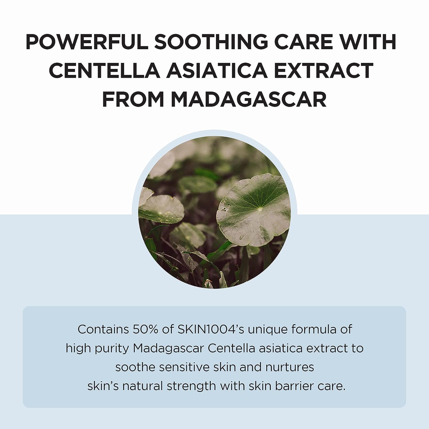 Madagascar Centella Hyalu-Cica Moisture Cream (75ml)