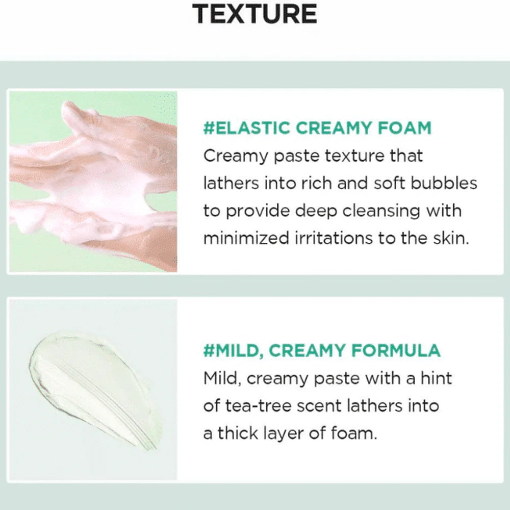 Madagascar Centella Tea-Trica BHA Foam (125ml)