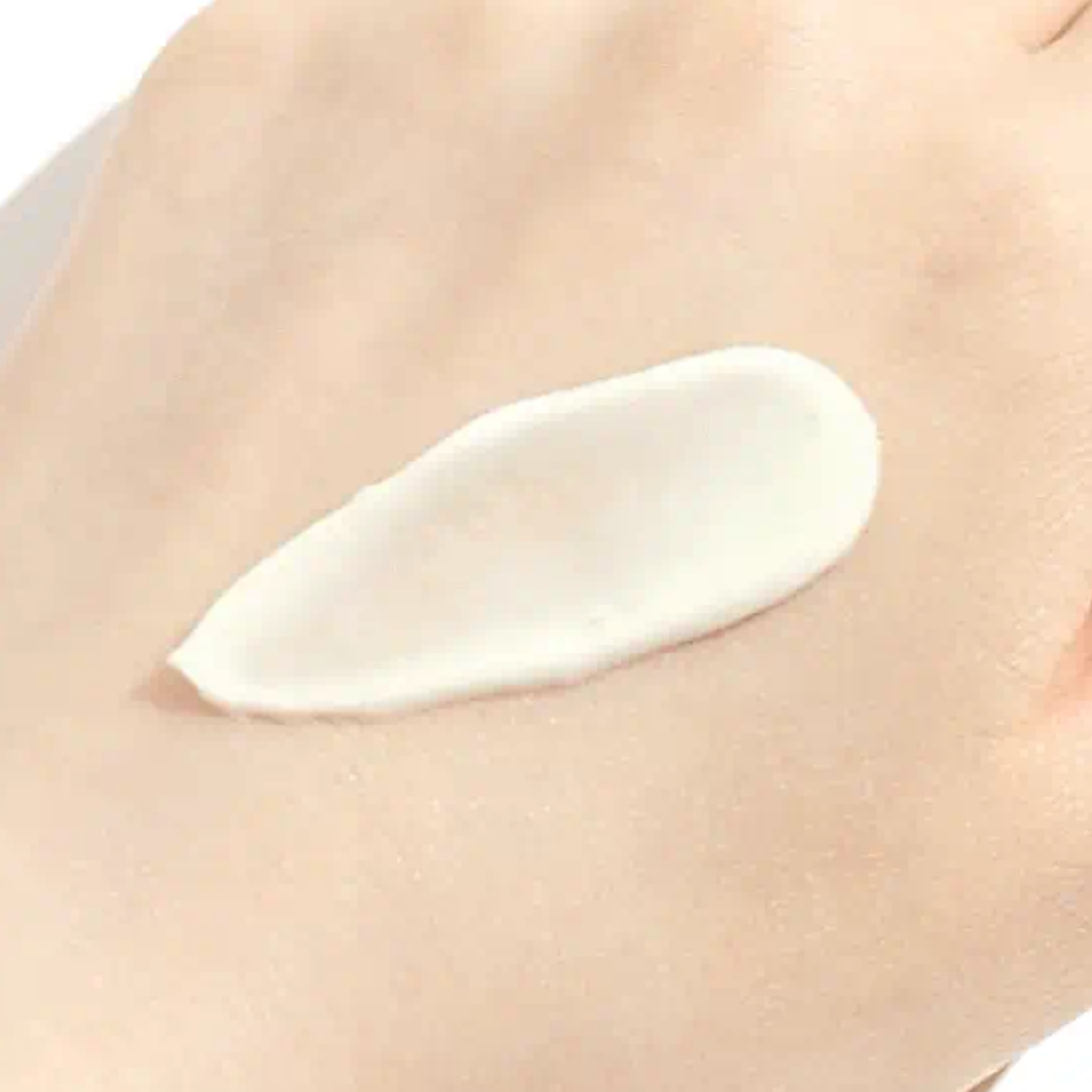 Round Lab - Birch Moisturising Sunscreen UVLock SPF 45+ Broad Spectrum (50ml) - v5 - Seoulful Skincare
