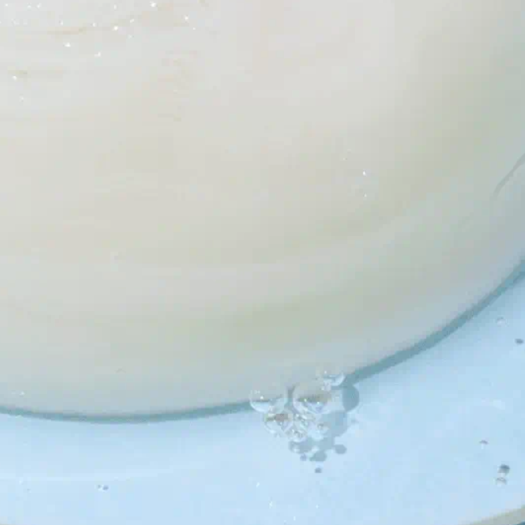 Round Lab - Birch Moisturising Pad - v6 - Seoulful Skincare