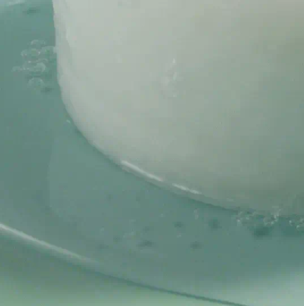 Round Lab - Pine Calming Cica Pad (50pcs) - v6 - Seoulful Skincare