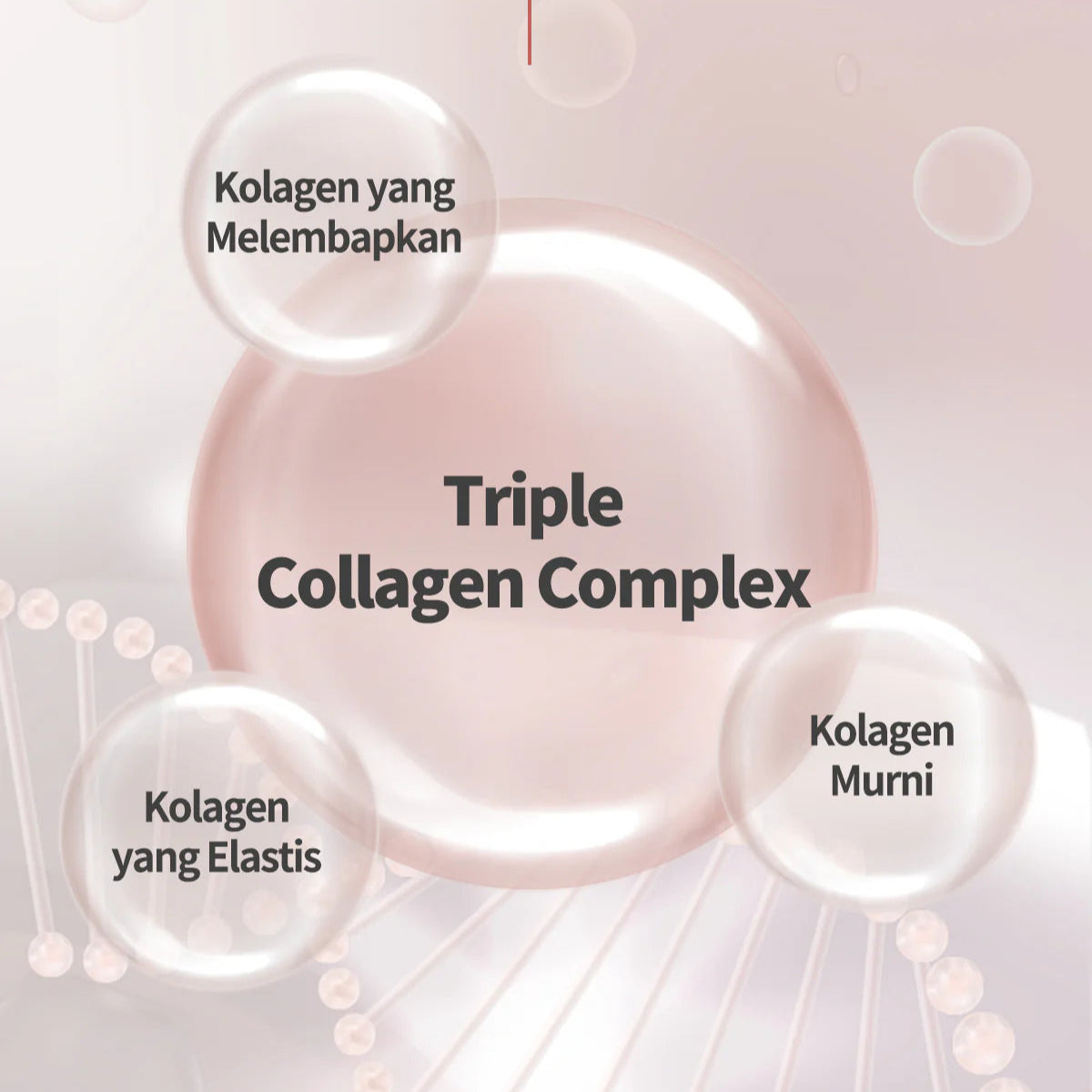 alt - Medicube - Triple Collagen Toner (140ml) Info 1- Seoulful Skincare