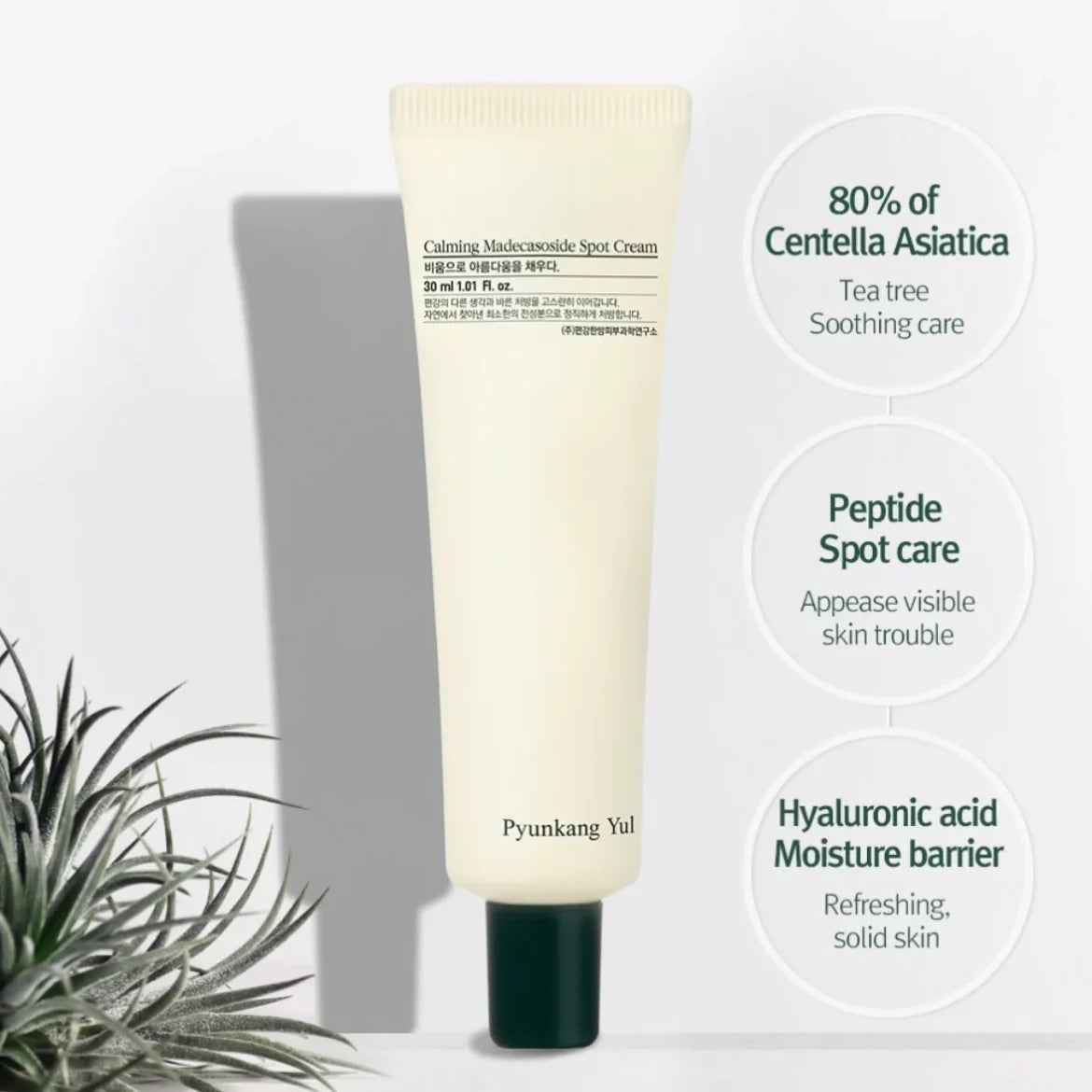alt - Pyunkang Yul - Calming Madecasoside Spot Cream (30ml) - Seoulful Skincare