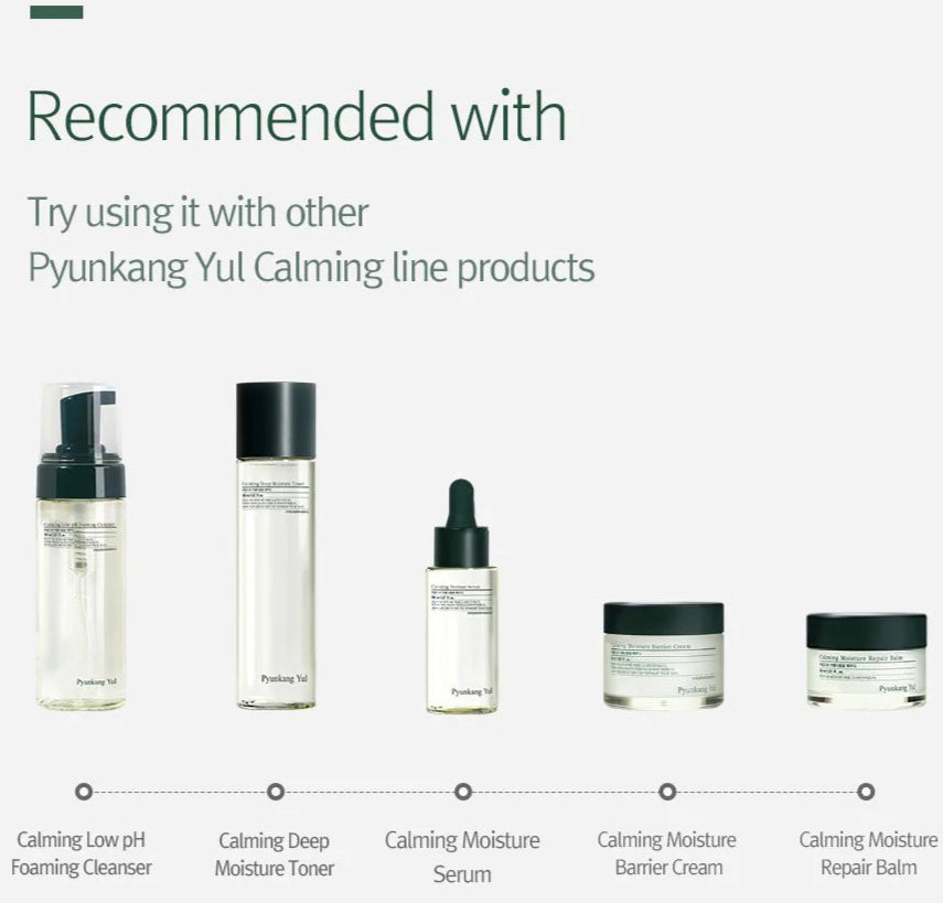 lt - Pyunkang Yul - Calming Acne Cleansing Foam (100ml) - Seoulful Skincare