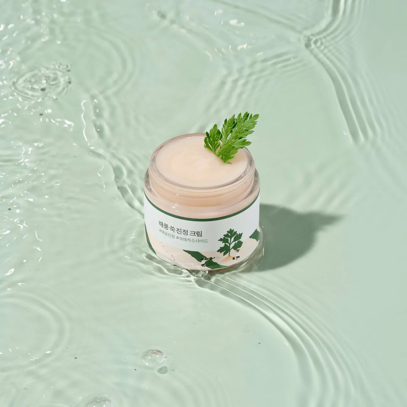 Round Lab - Mugwort Calming Cream (80ml) - v6 - Seoulful Skincare