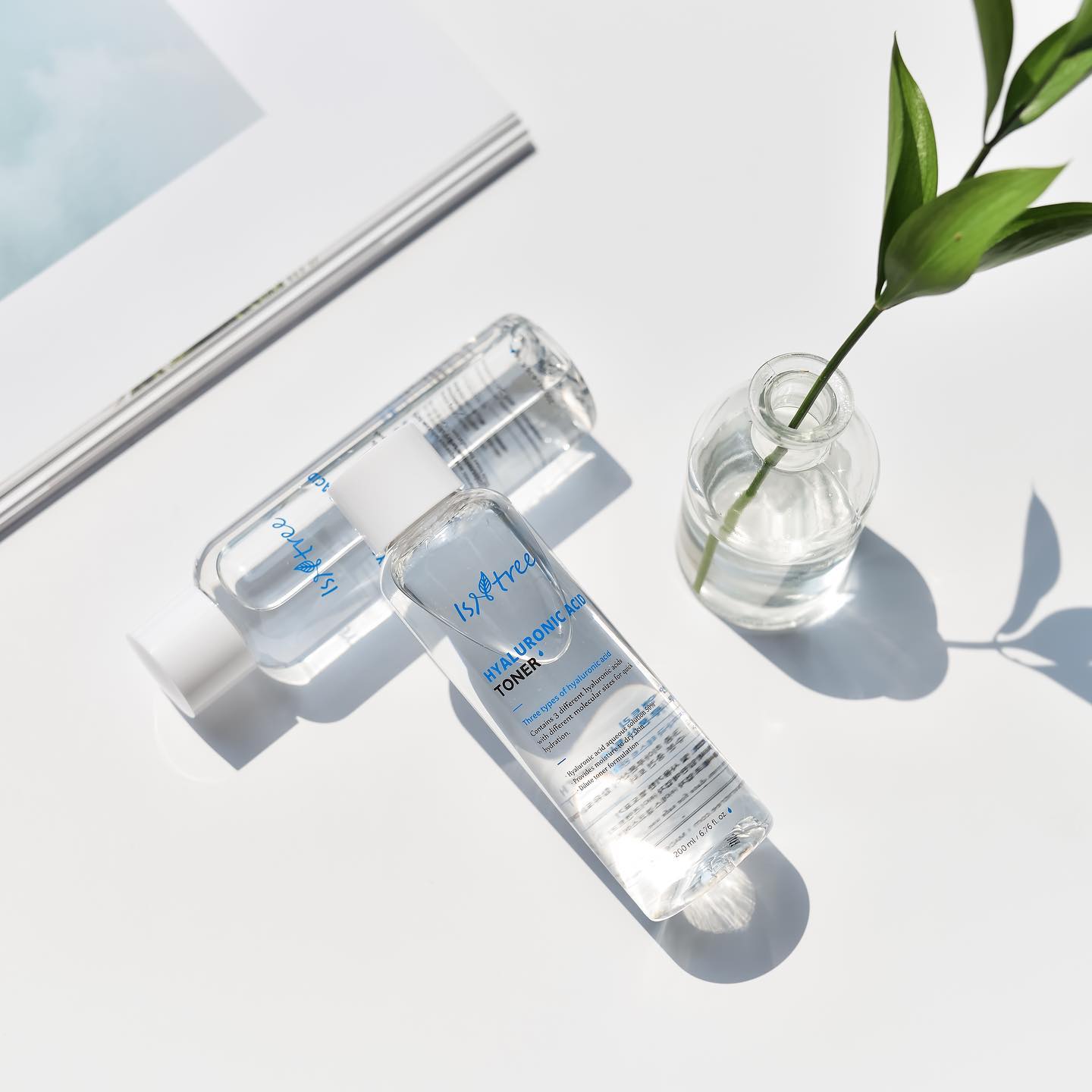 Korean Skincare South Africa - Isntree - Seoulful Skincare