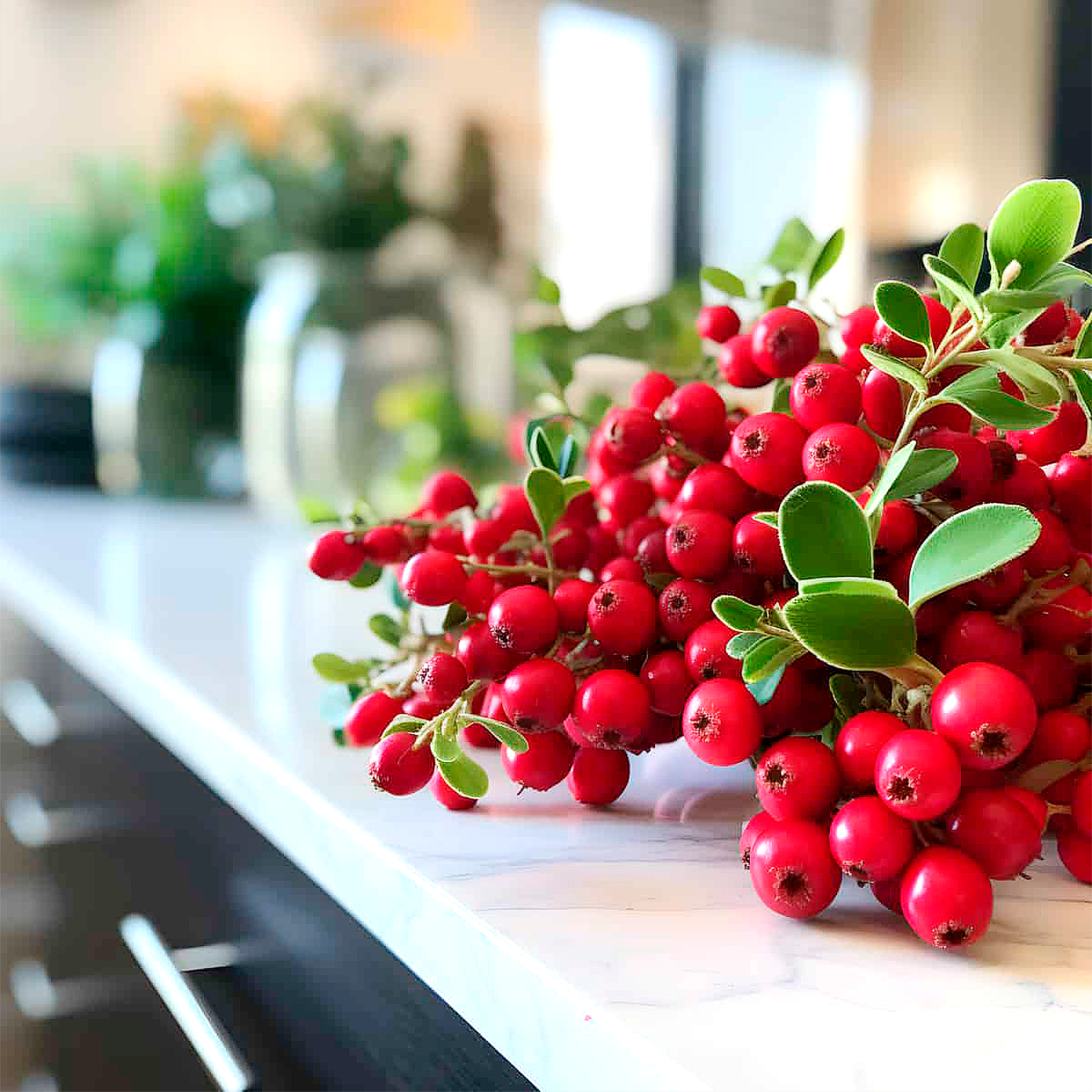 Korean Skincare South Africa - Arbutin - Seoulful Skincare