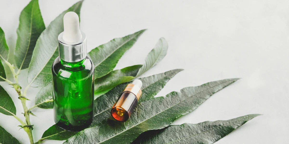 Korean Skincare South Africa - Azelaic Acid - Seoulful Skincare