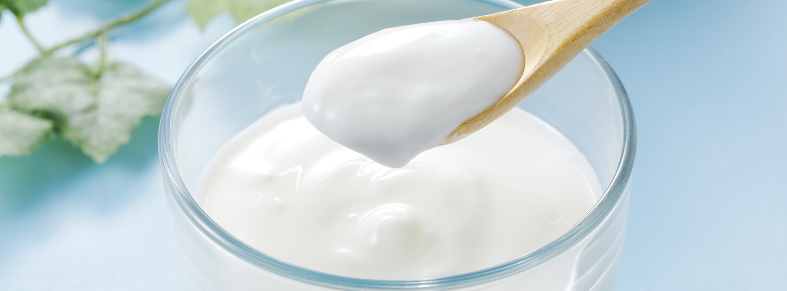 Korean Skincare South Africa - Lactic Acid - Seoulful Skincare