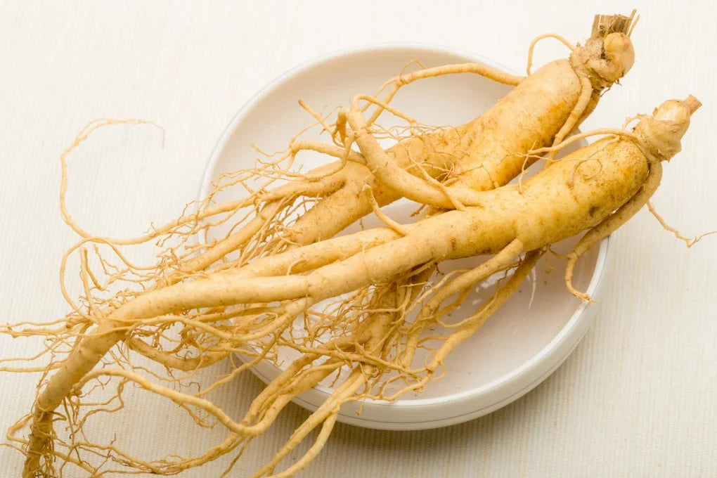 Korean Skincare South Africa - Ginseng - Seoulful SKincare