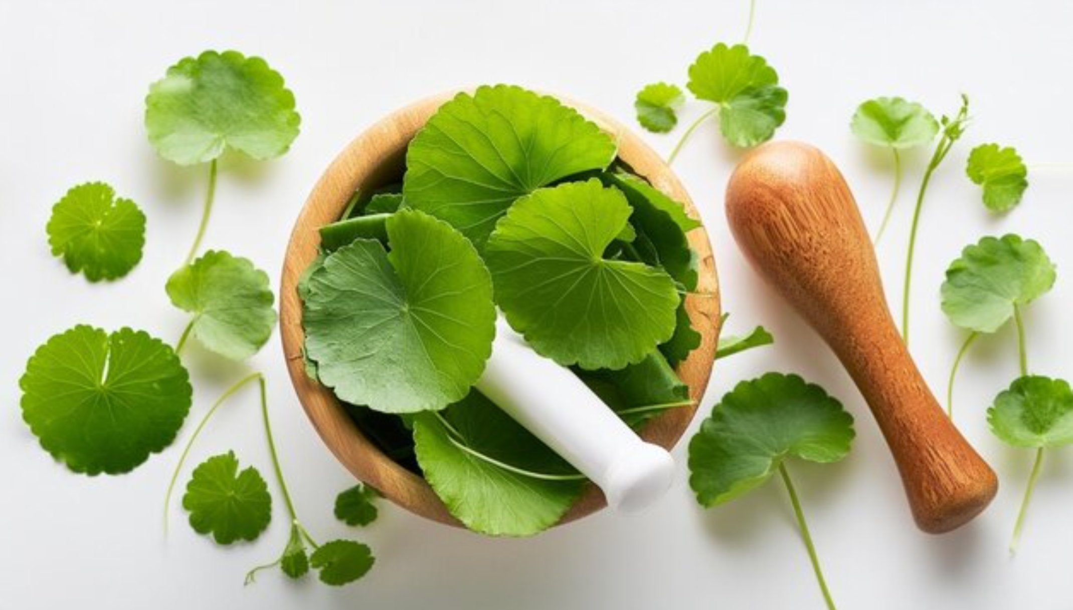 Korean Skincare South Africa - Centella - Seoulful Skincare