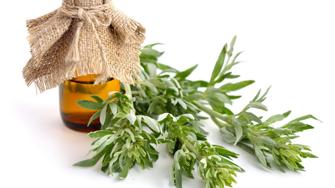 Korean Skincare South Africa - Mugwort - Seoulful Skincare