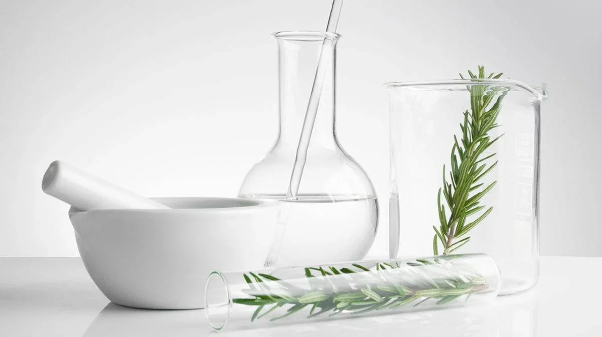 Korean Skincare South Africa - ChatGPT said:  Yeast Ferments and Probiotics - Seoulful Skincare