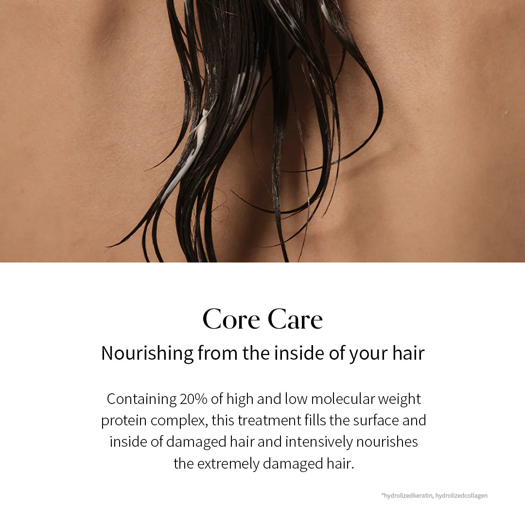 Damage Therapy Hair Cream Treatment EX (150ml)