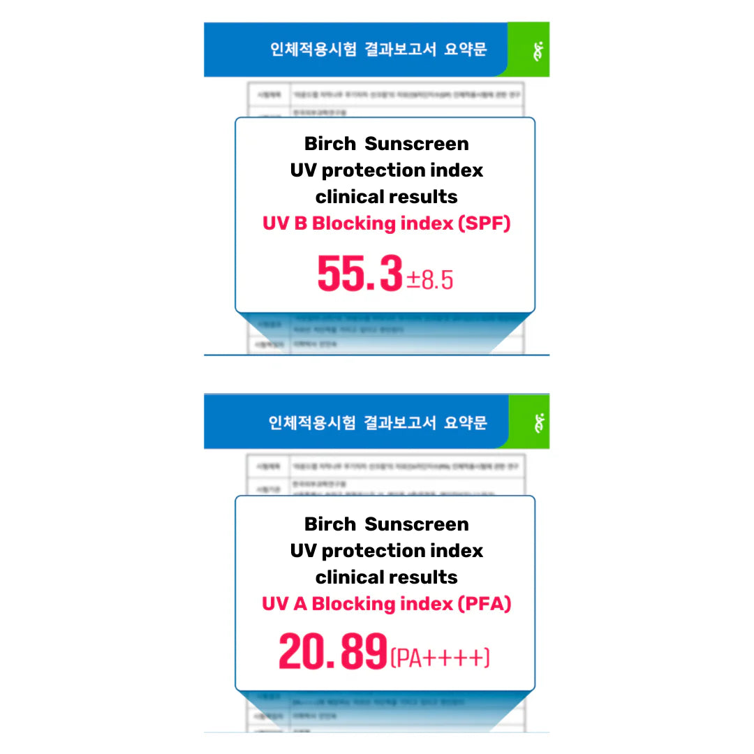 Round Lab - Birch Moisturising Mild-Up Sunscreen SPF 50+, PA++++ (50ml) - v6 - Seoulful Skincare