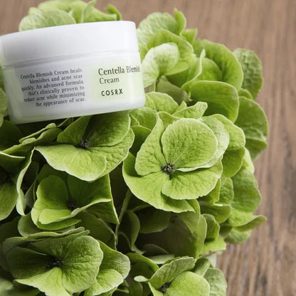 Cosrx_-_Centella_Blemish_Cream_30g_-_v_7-_Seoulful_Skincare
