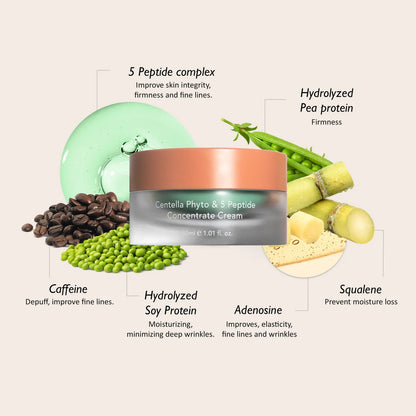 Haruharu_Wonder_-_CENTELLA_Phyto_5_Peptide_Concentrate_Cream_30ml_2_Ingredients-_Seoulful_Skincare