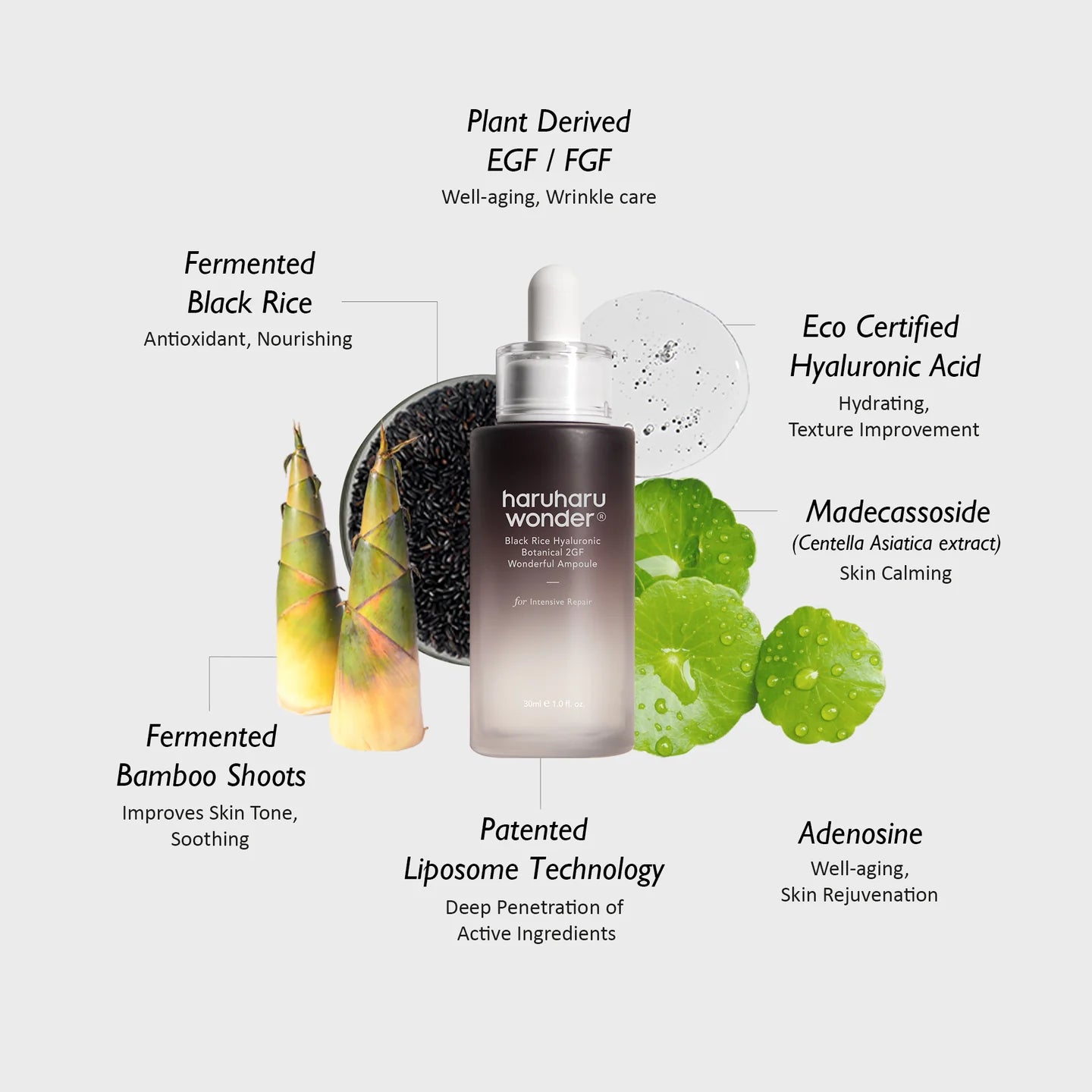 Haruharuwonder_-_Black_Rice_Hyaluronic_Botanical_2GF_Wonderful_Ampoule_30ml_Ingredients_-_Seoulful_Skincare