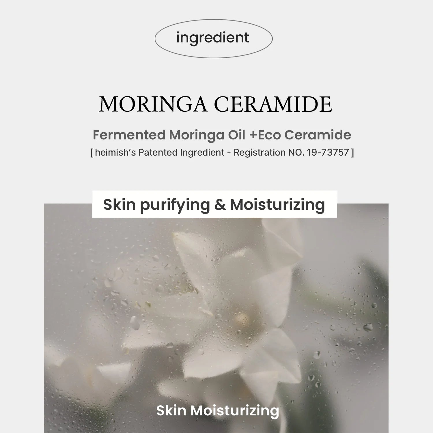 Heimish - Moringa Ceramide Collagen Enriched Moisturiser (120ml) - v9 - Seoulful Skincare