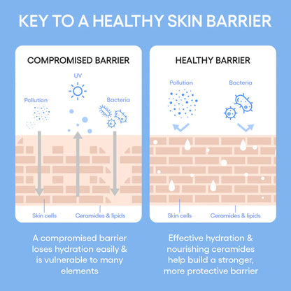 Cream Skin Toner &amp; Moisturiser (Cerapeptide) (50ml / 170ml)