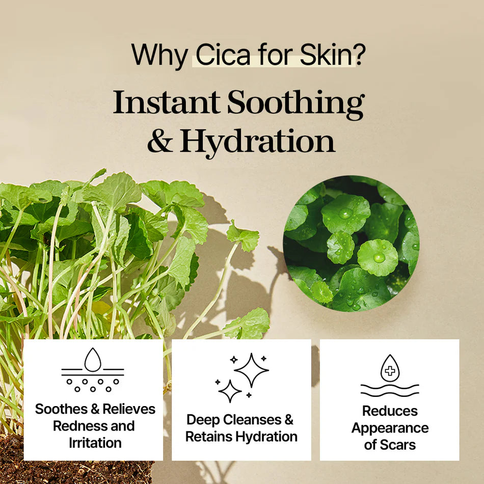 Mixsoon_-_Centella_Toner_Pad_120ea_3-_Seoulful_Skincare