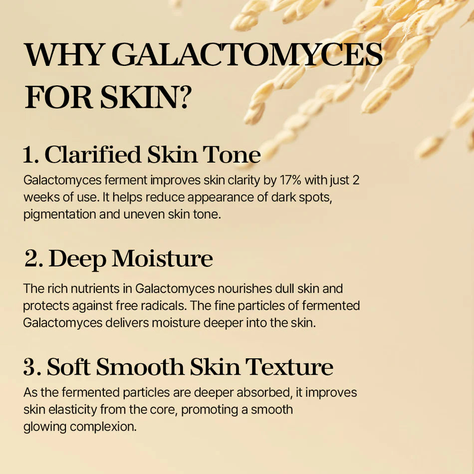 Mixsoon_-_Galactomyces_Ferment_Essence_100ml_5-_Seoulful_Skincare