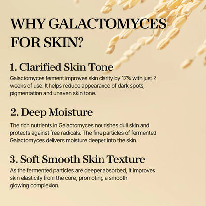 Mixsoon_-_Galactomyces_Ferment_Essence_100ml_5-_Seoulful_Skincare