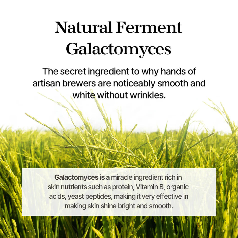 Mixsoon_-_Galactomyces_Ferment_Essence_100ml_6-_Seoulful_Skincare
