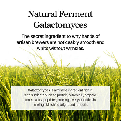 Mixsoon_-_Galactomyces_Ferment_Essence_100ml_6-_Seoulful_Skincare