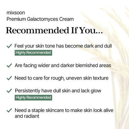 Mixsoon_-_Premium_Galactomyces_Cream_50ml_Info4-_Seoulful_Skincare