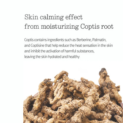 Basic Line - Moisture Cream (100ml)