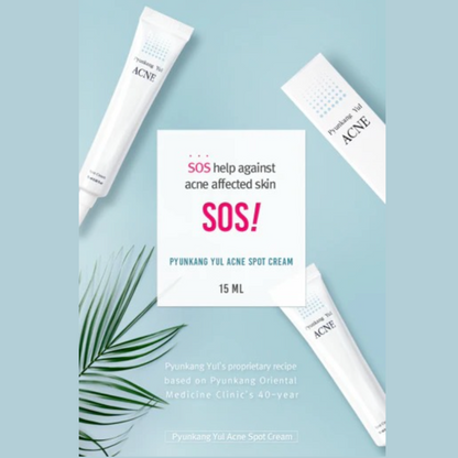 Pyunkang_Yul_-_ACNE_Spot_Cream_15ml_Info3-_Seoulful_Skincare