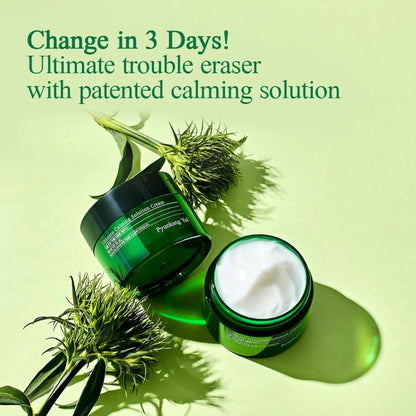Pyunkang Yul - Ultimate Calming Solution Cream (30ml) Info1 - Seoulful Skincare