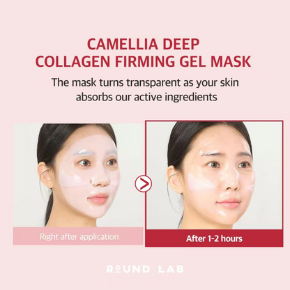 Round Lab - Camellia Deep Collagen Firming Gel Mask (1pc, 4pc) - v8 - Seoulful SKincare